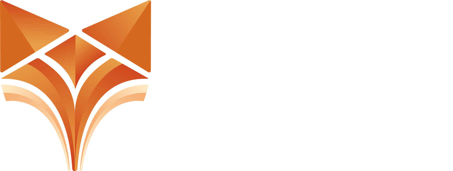 StarFox Studio